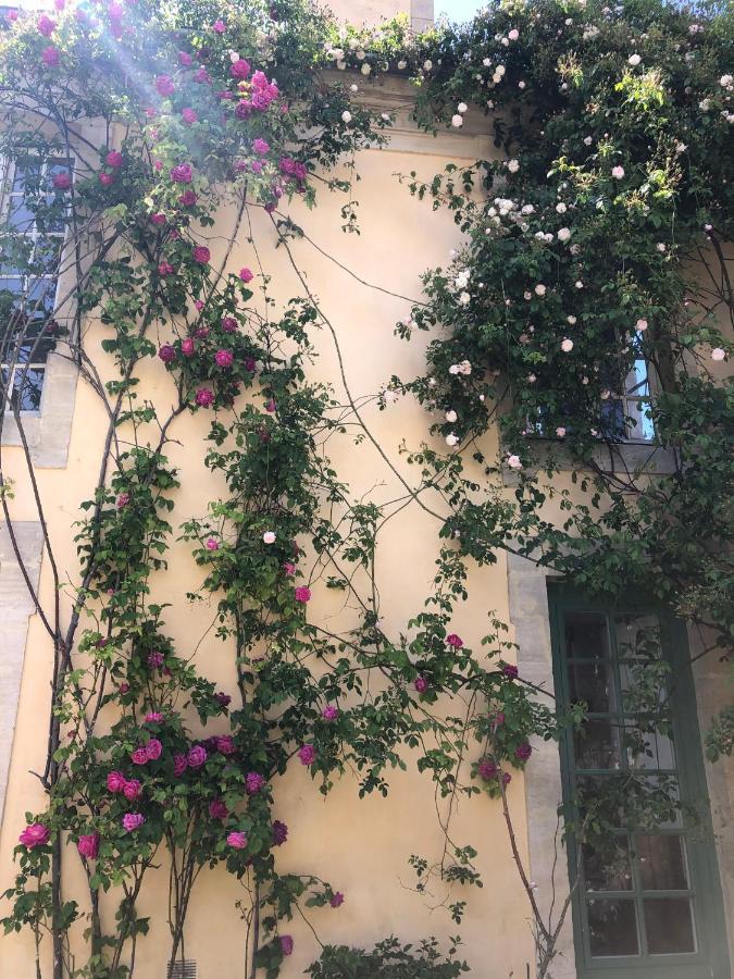 Maison D'Hotes De Charme Μπαγιέ Εξωτερικό φωτογραφία